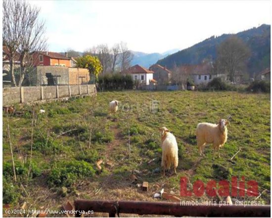 Terreno Urbano de 2118m² en Solórzano