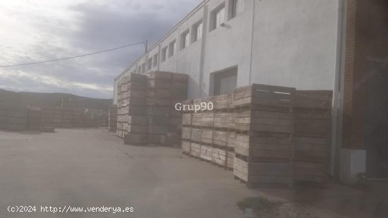 Nave industrial en venta situada en  Fraga, con dos cámaras frigoríficas.