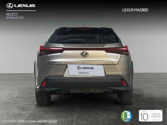 Lexus UX 2.0 250h Premium - El Plantío