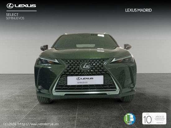 Lexus UX 2.0 250h Premium - El Plantío