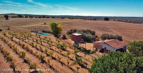 Tu refugio a 25 km de Zamora - ZAMORA