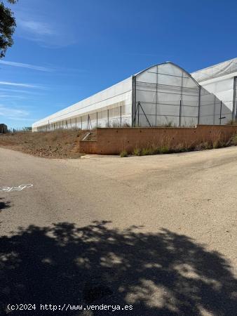 Excelente explotación agricola en venta. - VALENCIA