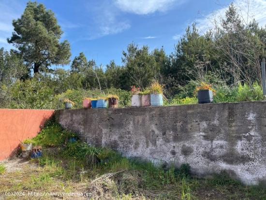 Icod. Caserio Las Abiertas. casa a refomrar mas terreno - SANTA CRUZ DE TENERIFE