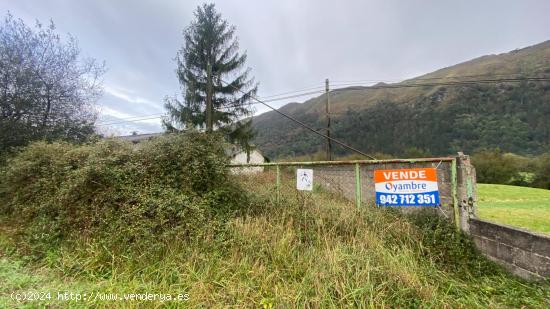  FINC RÚSTICA EN RUENTE - CANTABRIA 