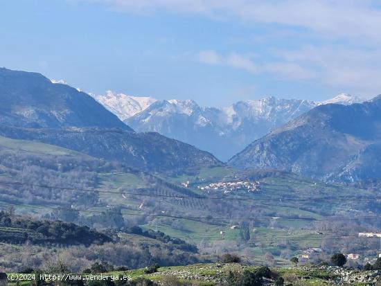 Se vende parcela urbana en Narganes, Peñamellera Baja - ASTURIAS