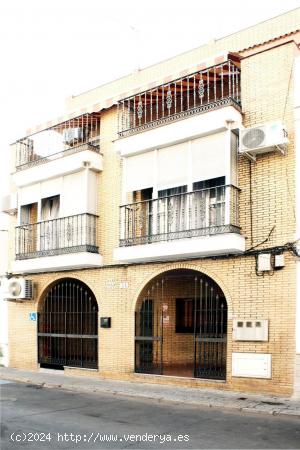 Edificio residencial de tres plantas con patio de más de 100 m2 en la Nueva Avenida. - SEVILLA