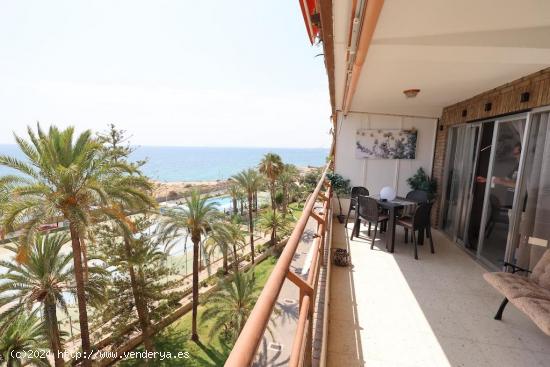 Apartamento frente al mar en Alicante La Albufereta - ALICANTE