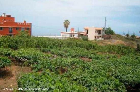  Terreno urbano en venta en Santa Úrsula - SANTA CRUZ DE TENERIFE 