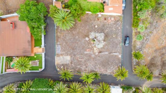 Propiedad en Tacoronte, Tenerife: ¡Una Joya para Inversionistas! - SANTA CRUZ DE TENERIFE