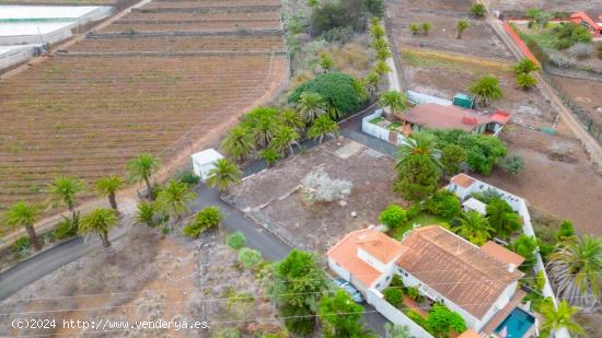 Propiedad en Tacoronte, Tenerife: ¡Una Joya para Inversionistas! - SANTA CRUZ DE TENERIFE