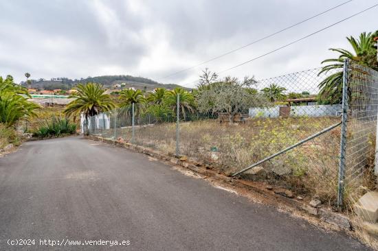 Propiedad en Tacoronte, Tenerife: ¡Una Joya para Inversionistas! - SANTA CRUZ DE TENERIFE