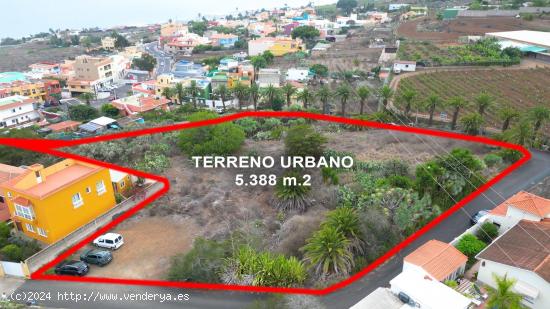  Terreno urbano en Tacoronte zona Casas Altas, 5388 mts² de superficie urbana - SANTA CRUZ DE TENERI 