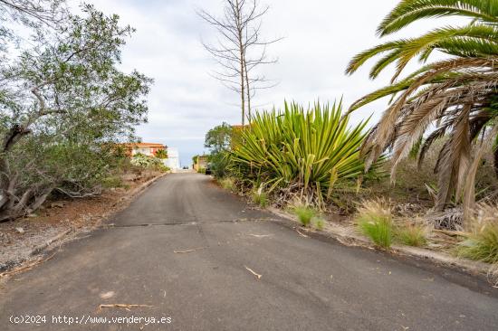 Terreno urbano en Tacoronte zona Casas Altas, 5388 mts² de superficie urbana - SANTA CRUZ DE TENERI