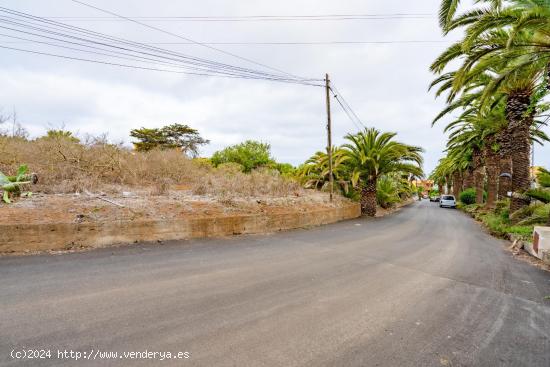 Terreno urbano en Tacoronte zona Casas Altas, 5388 mts² de superficie urbana - SANTA CRUZ DE TENERI