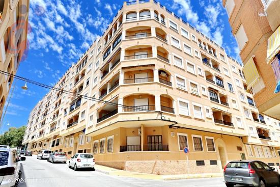 ¡Bonita vivienda con piscina en segunda linea de playa en Guardamar del Segura! - ALICANTE