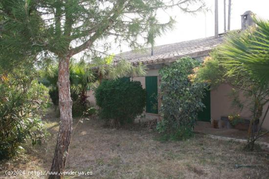  Terreno rústico con pequeña casita - BALEARES 