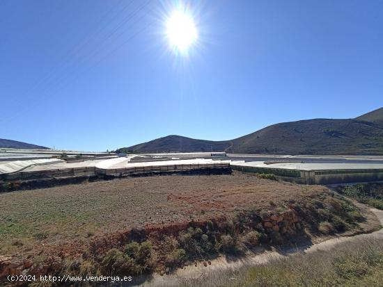 Terreno en venta en Dalias - ALMERIA