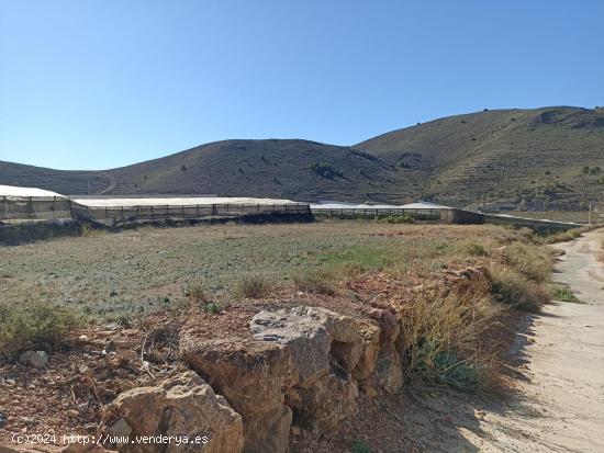 Terreno en venta en Dalias - ALMERIA