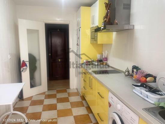 APARTAMENTO EN PLENO CENTRO - CADIZ