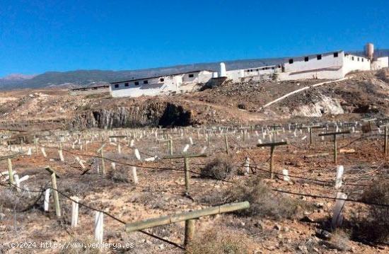 TERRENO RUSTICO EN LAS ERAS ARICO - SANTA CRUZ DE TENERIFE