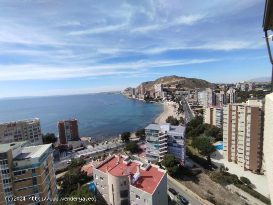 VIVIENDA EN ALICANTE ALBUFERA CON VISTAS AL MAR DE 200 M, GARAJE Y PISCINA - ALICANTE