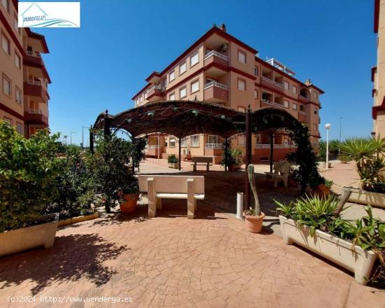 Se Vende en Algorfa - ALICANTE