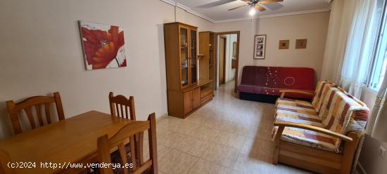 Apartamento planta baja - ALICANTE