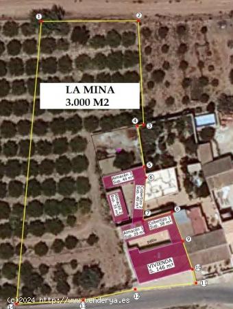 SE VENDE CASA CON TERRENO DE 3.000 M2 EN LA MINA - MURCIA