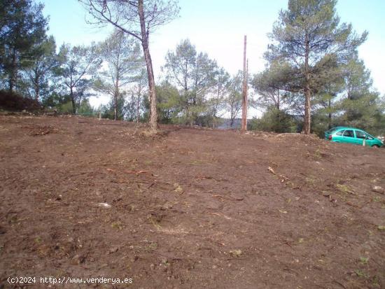 Terreno urbano en Pinedes Altes (la Juncosa de Montmell) - TARRAGONA