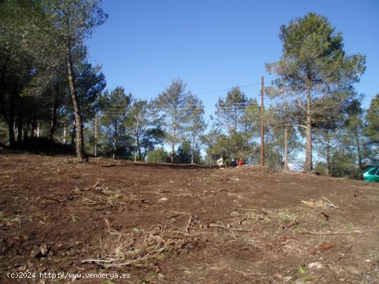 Terreno urbano en Pinedes Altes (la Juncosa de Montmell) - TARRAGONA