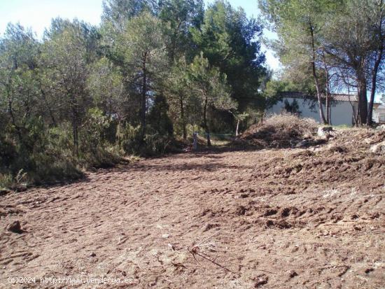 Terreno urbano en Pinedes Altes (la Juncosa de Montmell) - TARRAGONA