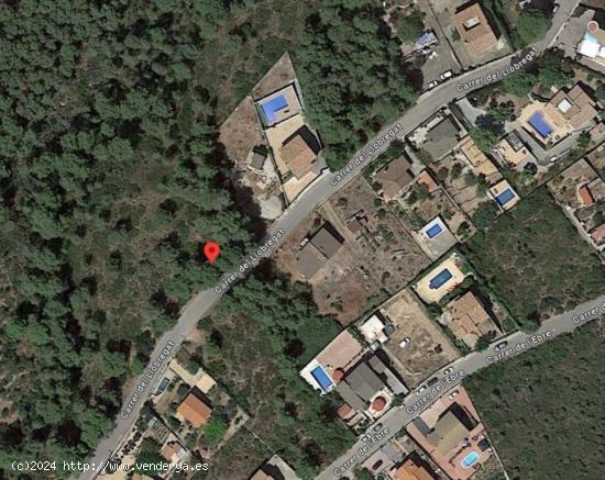 Terreno urbano en Can Gordey - La Bisbal del Penedés - TARRAGONA