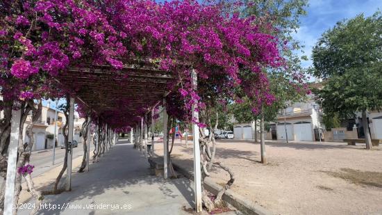  OPORTUNIDAD!!!! ADOSADO EN LA URB. LA PURISIMA DE ALAQUAS,  CON INFINIDAD DE POSIBILIDADES - VALENCI 