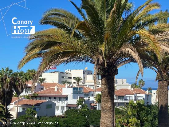 Estudio en el corazón de Playa de Las Américas- Tenerife - SANTA CRUZ DE TENERIFE