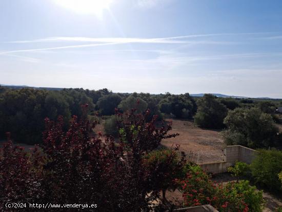 Se Alquila en Sant Jordi - San Jorge - CASTELLON