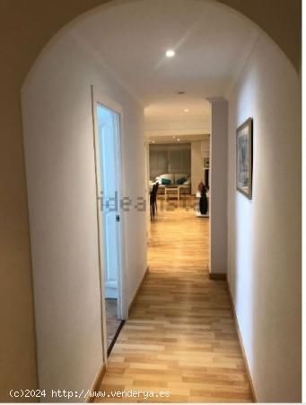 ALQUILER DE ESTUPENDA VIVIENDA EN AVENIDA MAISONNAVE - ALICANTE