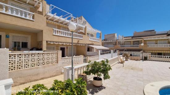  BUNGALOW EN PLANTA BAJA DE 2 DORMITORIOS CON PISCINA COMUNITARIA - ZONA LOS FRUTALES, TORREVIEJA - - 