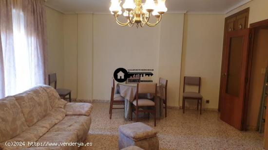  INMOBILIARIA TEJARES ALQUILA PISO EN ZONA HOSPITAL - ALBACETE 