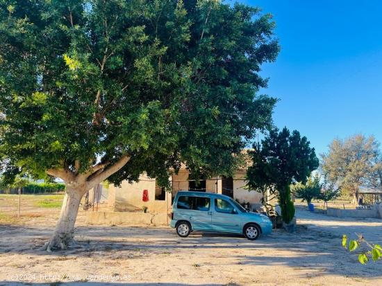 CASA TíPICA  ILICITANA PARA RESTAURAR - ALICANTE