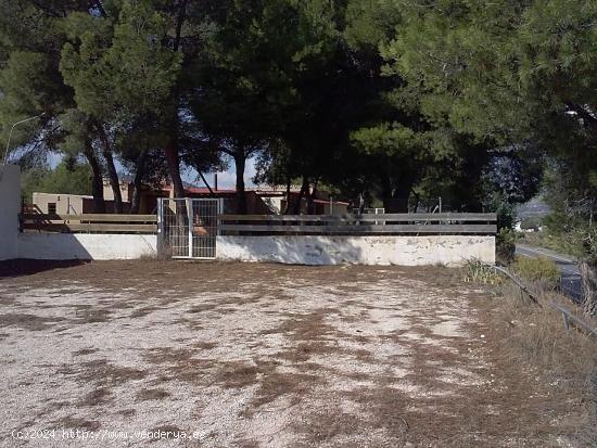 FINCA RUSTICA EN TERMINO DE CASTALLA - ALICANTE