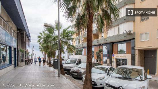 Apartamento entero de 1 dormitorio en Cádiz - CADIZ