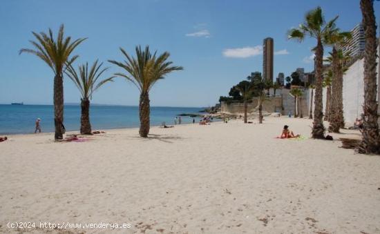 Se vende estructura con terreno en Avenida Albufereta - Alicante - ALICANTE