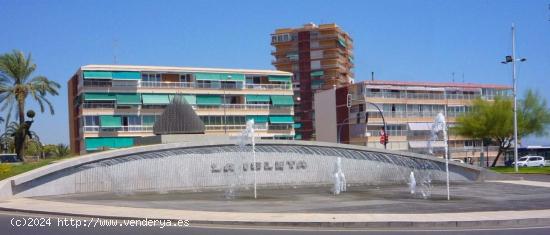 Se vende estructura con terreno en Avenida Albufereta - Alicante - ALICANTE