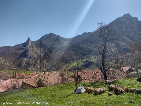 Finca con calificación urbano y rustico de 8.544m² en SOBREDOBRES (VEGA DE LIEBANA) - CANTABRIA