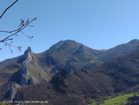 Finca con calificación urbano y rustico de 8.544m² en SOBREDOBRES (VEGA DE LIEBANA) - CANTABRIA