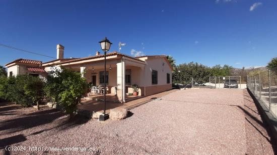 Chalet independiente de 3 habitaciones en Crevillente - ALICANTE