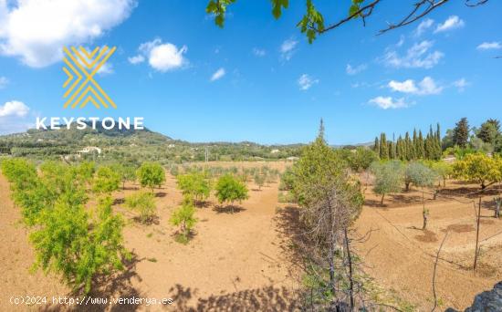 Magnifica finca rústica entre Cala Millor y Arta. - BALEARES