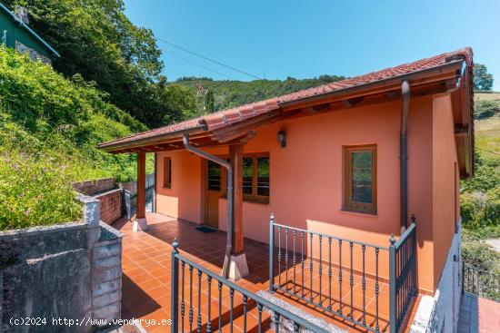 CHALET LA CRESPA NUEVO - ASTURIAS