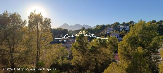 Terreno urbano en Altea! - ALICANTE