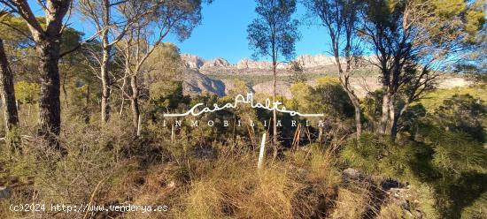 Terreno urbano en Altea! - ALICANTE